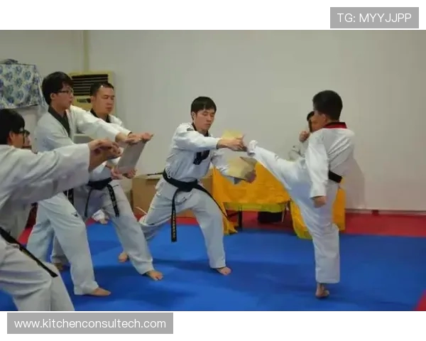 跆拳道黑带之路：从初学者到高手的训练与成长秘诀